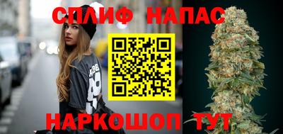 мдпв Пугачёв