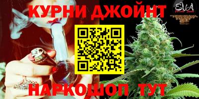 мдпв Пугачёв