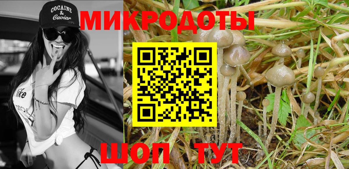 как найти наркотики  Псилоцибиновые грибы Cubensis  Вход с VPN  Галлюциногенные грибы ЛСД  Новороссийск 