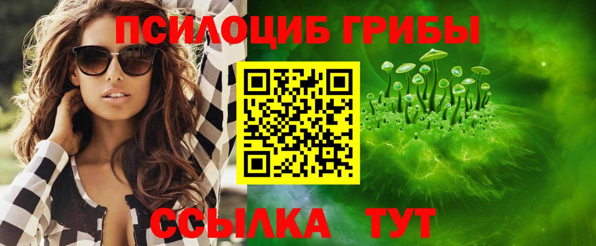 Псилоцибиновые грибы GOLDEN TEACHER Новороссийск